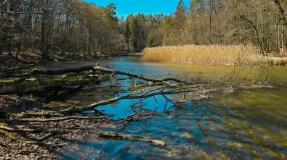 Rezerwat Krutynia Dolna na Mazurach powiększony. Krutynia w całości objęta ochroną