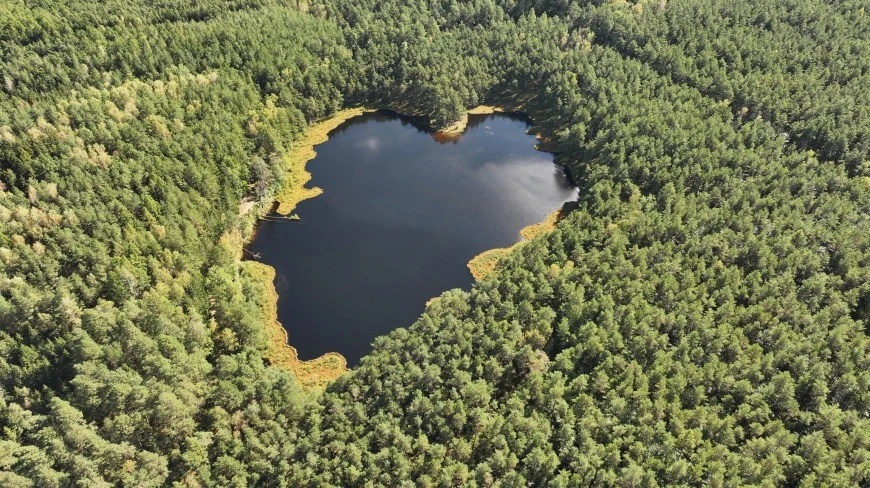 Kruczek Mały – serce Puszczy Piskiej i ukryta perła Mazurskiego Parku Krajobrazowego