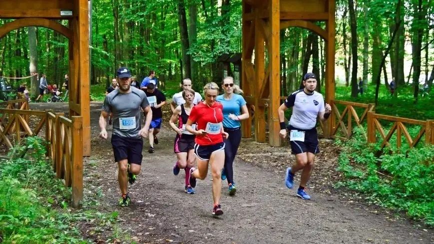 Zdjęcie poglądowe.