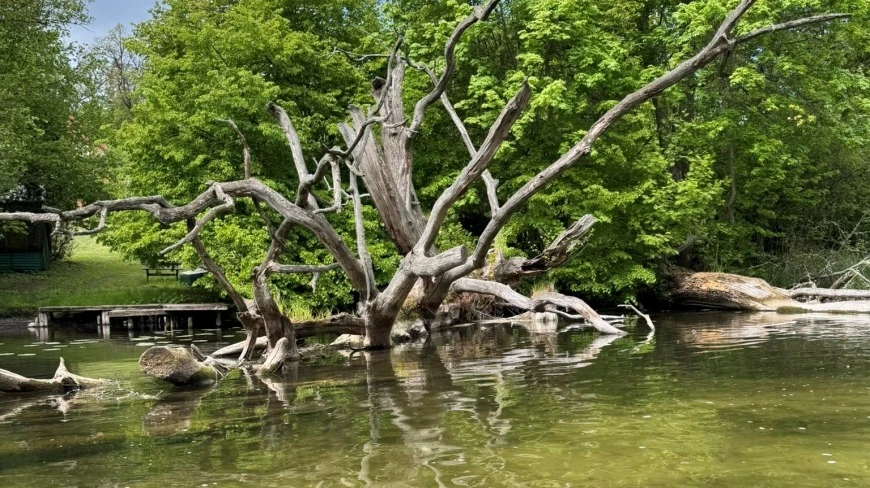 Ta inwestycja ma powstrzymać wysychanie jeziora na Mazurach