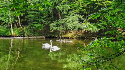Spływy Kajakowe As-TOUR - zdjęcie 28