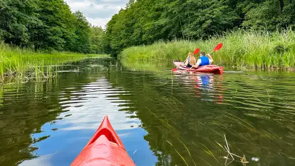 Spływy kajakowe Sapiną - Kruklanki  - zdjęcie 13