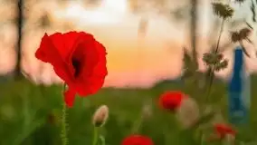 Zachód słońca w okolicach wsi Ublik - zdjęcie 13