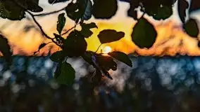 Zachód słońca nad jeziorem Kirsajty, wrzesień 2021 r. - zdjęcie 20