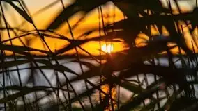 Zachód słońca nad jeziorem Kirsajty, wrzesień 2021 r. - zdjęcie 18