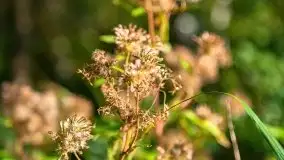 Zachód słońca nad jeziorem Kruklin, piękne te wrześniowe Mazury - zdjęcie 3