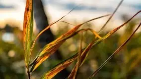 Zachód słońca nad jeziorem Kruklin, piękne te wrześniowe Mazury - zdjęcie 9