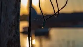 Zachód słońca nad jeziorem Bocznym, Tło Dla Mew, wrzesień 2021 - zdjęcie 41