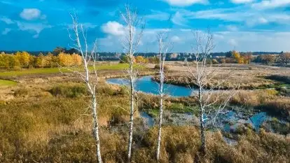 Jesień z lotu ptaka w okolicach jezior Gołdopiwo i Wilkus