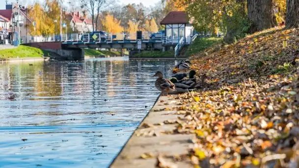 Kanał Łuczański w barwach jesieni, październik 2021 r. - zdjęcie 8