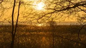 Wschód słońca nad jeziorem Niegocin w Wilkasach - zdjęcie 70