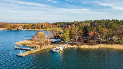 Wierzba i puszcza Piska, luty 2022 r.