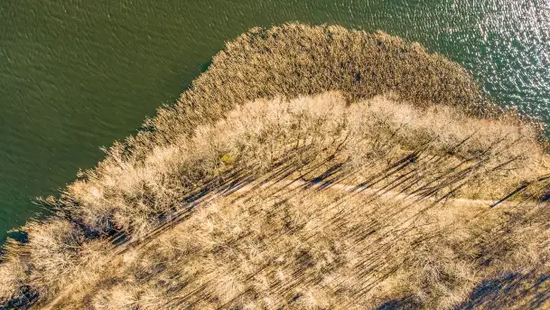Jezioro Ołów w pierwszych dniach wiosny - zdjęcie 6