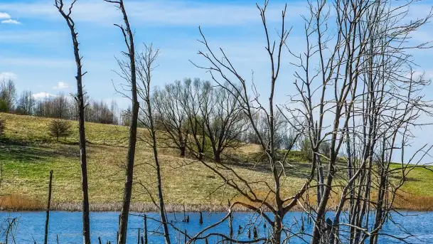 Grodzisko Galindów na Zamkowej Górze - zdjęcie 1
