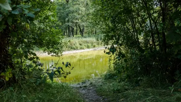 Fotorelacja - Rowerem po zagubionych wioskach Puszczy Piskiej - zdjęcie 4