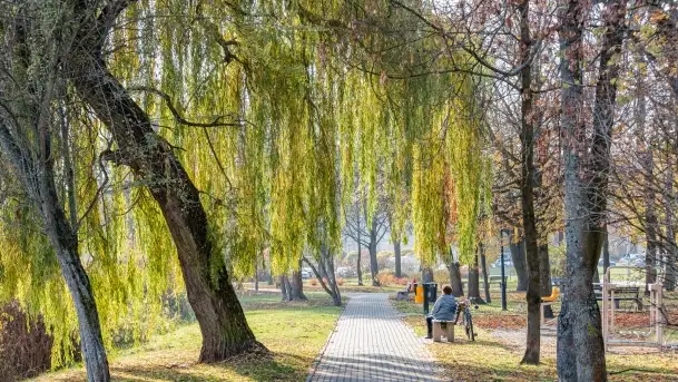 Jesienny Kętrzyn, październik 2022