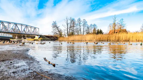 Zimowy poranek w Piszu nad Pisą, styczeń 2023