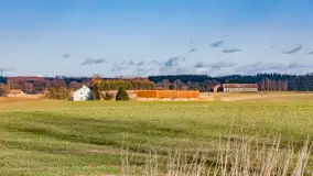 Wczesne przedwiośnie na Mazurach, luty 2023 r. - zdjęcie 23