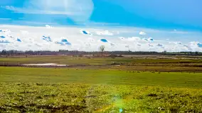 Wczesne przedwiośnie na Mazurach, luty 2023 r. - zdjęcie 50