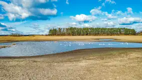 Wczesne przedwiośnie na Mazurach, luty 2023 r. - zdjęcie 9