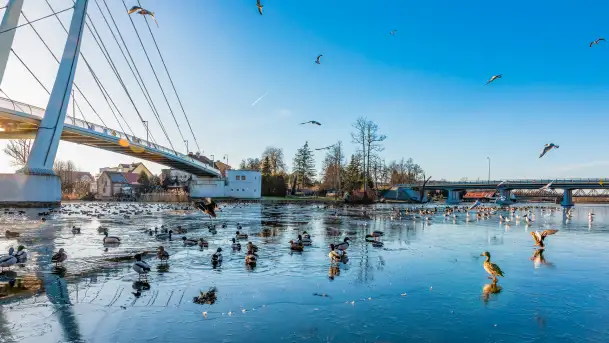 Jak wyglądają Mikołajki pod koniec zimy? Ano tak.