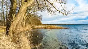 Zachód słońca nad Niegocinem widoczny z dzikiej plaży - zdjęcie 21
