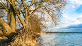 Zachód słońca nad Niegocinem widoczny z dzikiej plaży - zdjęcie 29