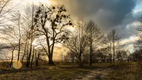 Zachód słońca nad Niegocinem widoczny z dzikiej plaży - zdjęcie 45