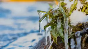 Jezioro Gołdopiwo na początku marca 2023 r. - zdjęcie 34