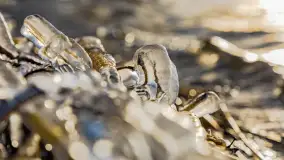 Jezioro Gołdopiwo na początku marca 2023 r. - zdjęcie 4