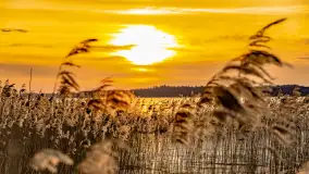 Zachód słońca nad jeziorem Mamry, plaża miejska w Węgorzewie - zdjęcie 24