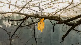 Wschód słońca nad jeziorem Tyrkło, marzec 2023 r. - zdjęcie 25