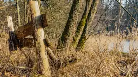 Wschód słońca nad jeziorem Tyrkło, marzec 2023 r. - zdjęcie 71