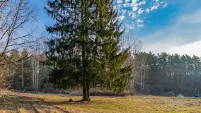 Wschód słońca nad jeziorem Tyrkło, marzec 2023 r. - zdjęcie 27