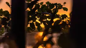 Zachód słońca nad jeziorem Dejgunek, lipiec 2023 r. - zdjęcie 19