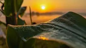 Wschód słońca we wsi Pożarki, wrzesień 2023 r. - zdjęcie 12