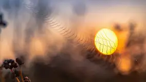 Wschód słońca we wsi Pożarki, wrzesień 2023 r. - zdjęcie 14