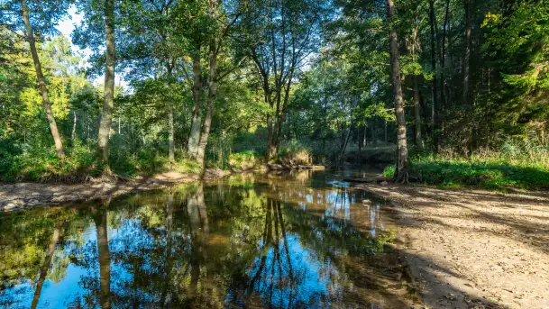 Piękno Sapiny w okolicach Pozezdrza, wrzesień 2023 r. - zdjęcie 1