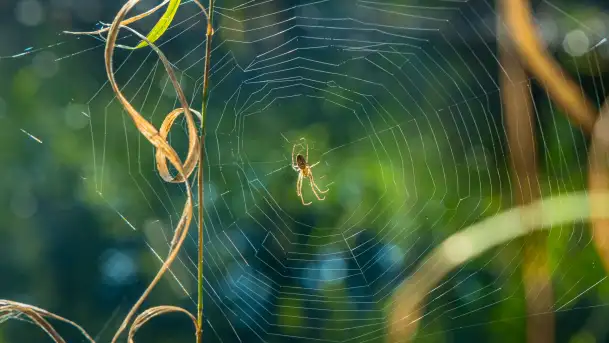 Piękno Sapiny w okolicach Pozezdrza, wrzesień 2023 r. - zdjęcie 11