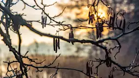 Wschód słońca nad jeziorem Wydmińskim, luty 2024 r. - zdjęcie 6