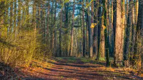 Wschód słońca nad jeziorem Wydmińskim, luty 2024 r. - zdjęcie 4