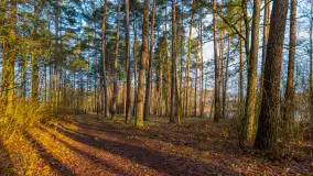 Wschód słońca nad jeziorem Wydmińskim, luty 2024 r. - zdjęcie 19