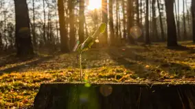 Wschód słońca nad jeziorem Wydmińskim, luty 2024 r. - zdjęcie 31