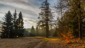 Wschód słońca nad jeziorem Wydmińskim, luty 2024 r. - zdjęcie 15