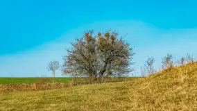 Przed zachodem słońca nad jeziorem Grajewko, luty 2024 r. - zdjęcie 4
