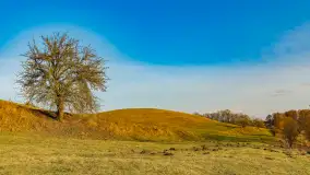 Przed zachodem słońca nad jeziorem Grajewko, luty 2024 r. - zdjęcie 29