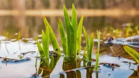 Mazurska przyroda w połowie marca 2024 r. - zdjęcie 8