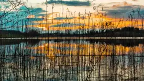 Zachód słońca nad jeziorem Głęboka Kuta, marzec 2024 r. - zdjęcie 11