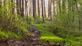 Wiosna i zachód słońca na półwyspie Kula, kwiecień 2024 r. - zdjęcie 8