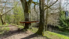 Śluza Leśniewo Górne na wiosennych ujęciach, marzec 2024 r. - zdjęcie 50